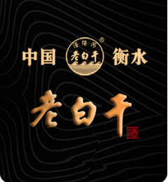 德陽發(fā)展控股集團(tuán)有限公司